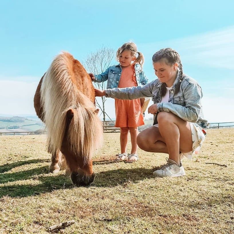 Baptême poney pour un enfant